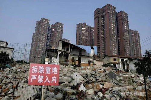 男子繼承無血緣老人北京5套房等全部財(cái)產(chǎn)