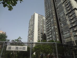 博雅園租房,33000元 月,觀golf 南北通透 朝陽公園 景園 9號(hào)公寓 拎包入住 北京租房 推推99北京房產(chǎn)網(wǎng)